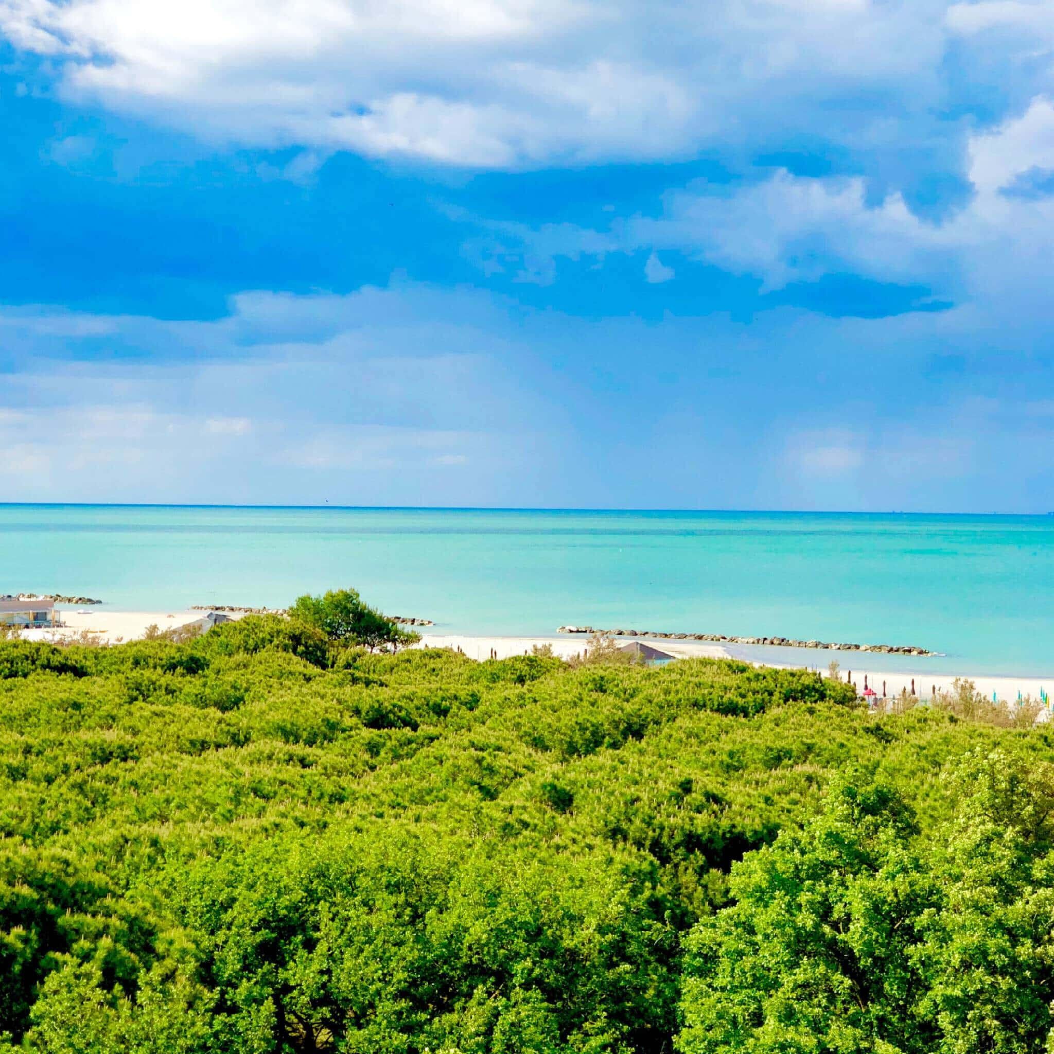 Panorama del mare turchese e del parco verde vicino all’Hotel Caravel B&B a Misano Adriatico.